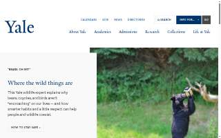 University Medical Care of Wheaton website