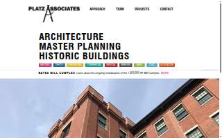 Platz Associates website