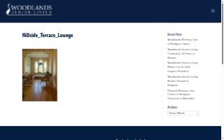Hillside Terrace website