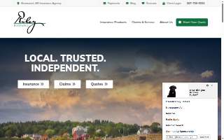 Riley Insurance Agency website