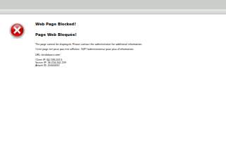 Brisk Doors website