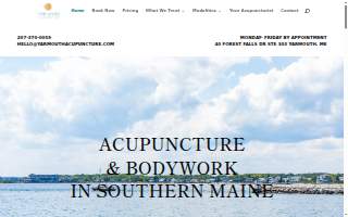 Yarmouth Acupuncture website