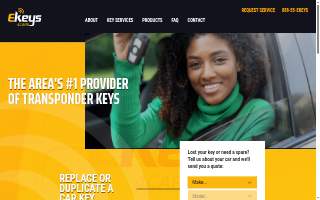 Ekim IT Solutions website