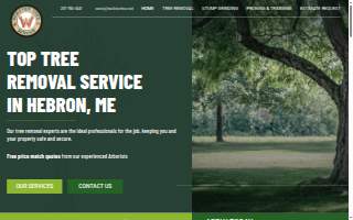 Webster Tree Service of Lewiston website