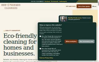 Bee Friends Cleaners website