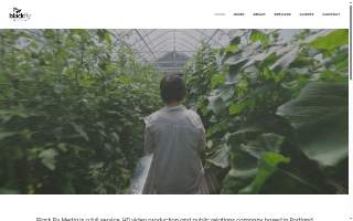 Black Fly Media website