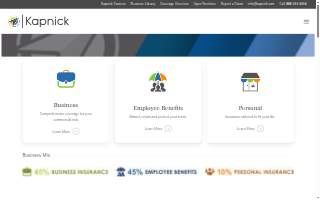 Kapnick Insurance website