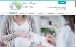West Village OBGYN of Allen Park website