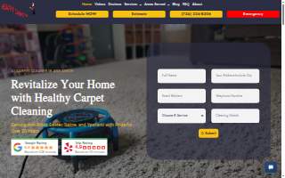 Healthy Carpets website