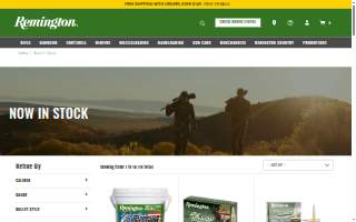 Remington Carwash website
