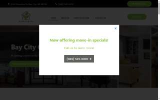 Bay City Comfort Care website