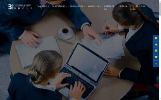 BI Consultant Group website
