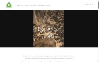 Dry Green Cleaning LLC website