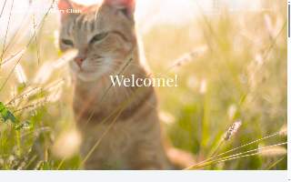 Stone Hill Vet Clinics PC: Smith Ann E DVM website