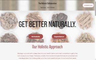 The Holistic Collaborative website