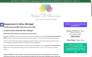 Michigan TCM Wellness Center of Clinton Township website