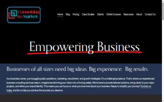 Consulting To Market website