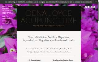 Vida Acupuncture website