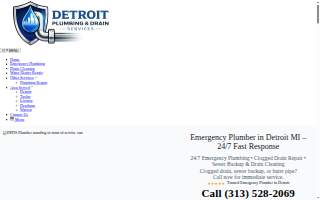 Detroit Plumbing and Drain Services website