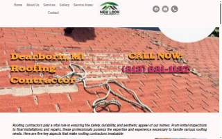 New Look Roofers of Detroit website