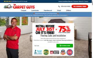 The Carpet Guys website