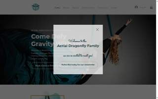 Aerial Dragonfly Movement Studio website