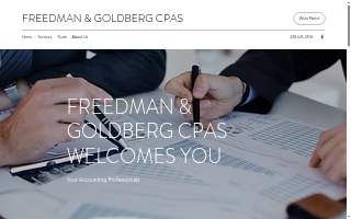 Freedman & Goldberg CPA website