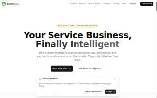 Bloom a Business website