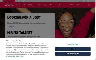 Staffing Solutions Pro website