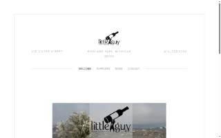 Little Guy Wine Company website