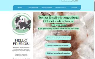 Tailspin Pet Grooming website