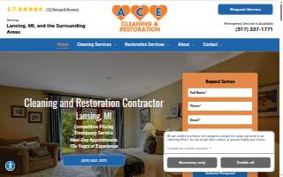 ACE Cleaning & Restoration website