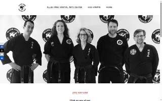 Allen Park Martial Arts Center website