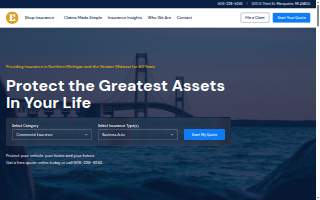 Elder Agency website
