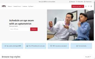 SVS Vision Inc website