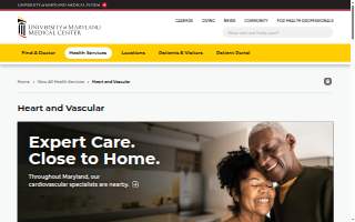 UPS Access Point location of Mt. Pleasant website