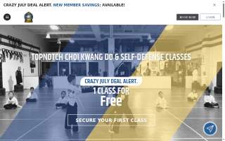 Ayerst Choi Kwang-Do LLC website