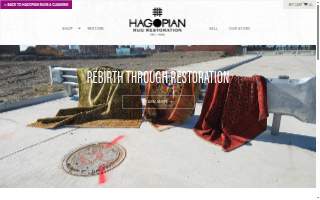 Detroit Rug Restoration website