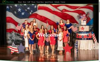Dance Academy website