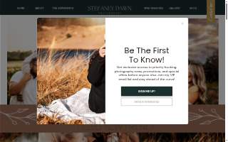 Stefaney Dawn Photography website