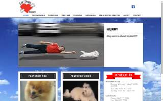 Lil' Dogs Resort website