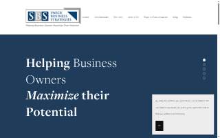 Swick Business Associates Inc website