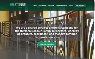 Atonne Group, Inc. website