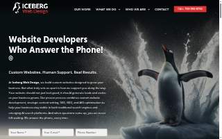 Iceberg Web Design of Anoka website