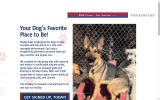 Muddy Paws Doggy Daycare of Anoka website