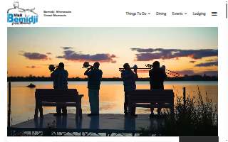 Bemidji Fusion website
