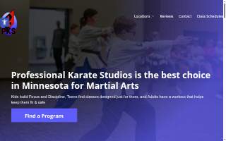 Professional Karate Studios website