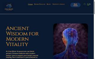 Ursa Minor Acupuncture website