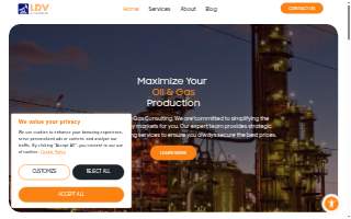 LDV Consulting Inc. website