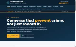 Duluth Security Needs website